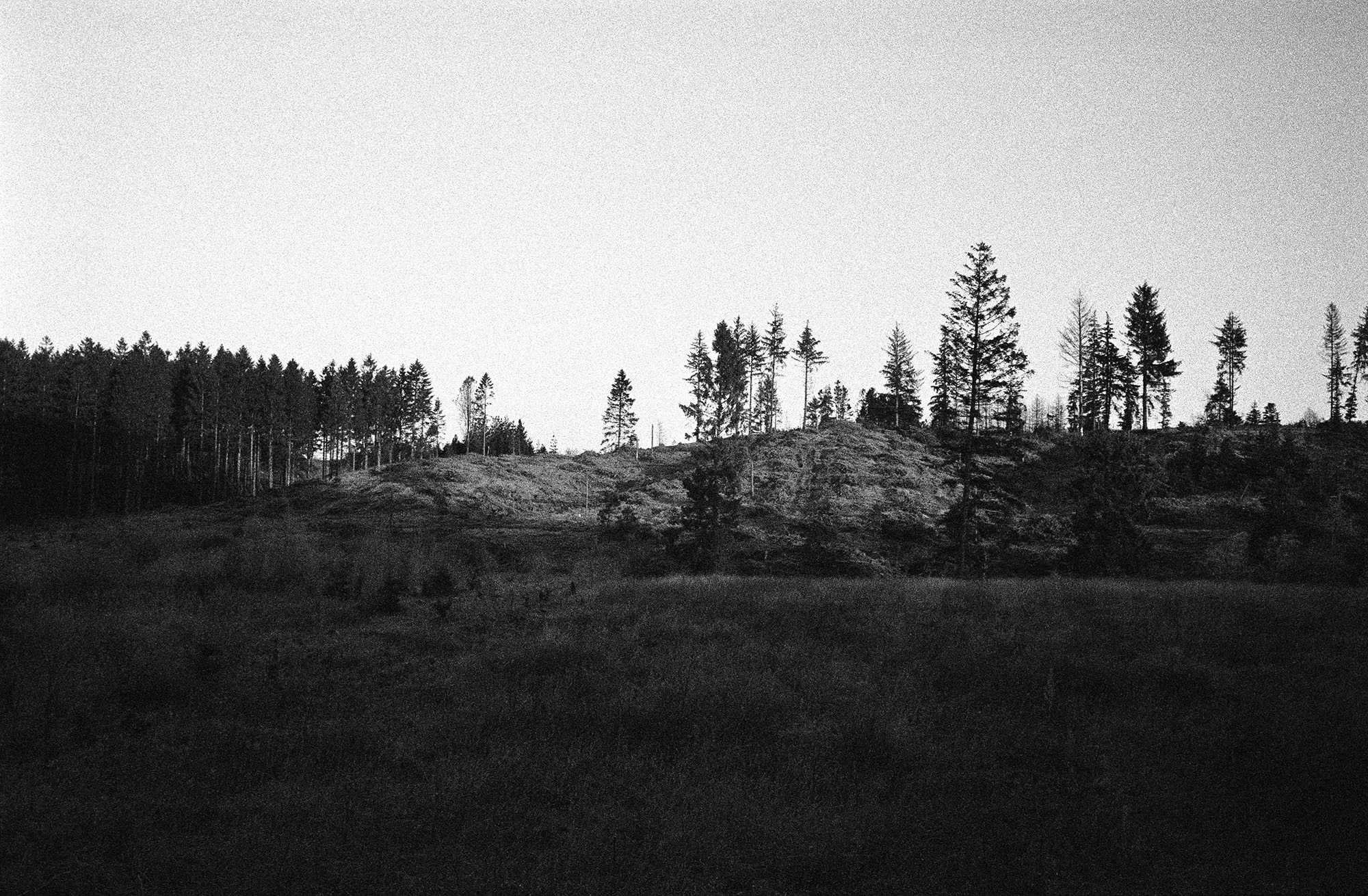 © Sissel Thastum | I am here when you are here | 2014