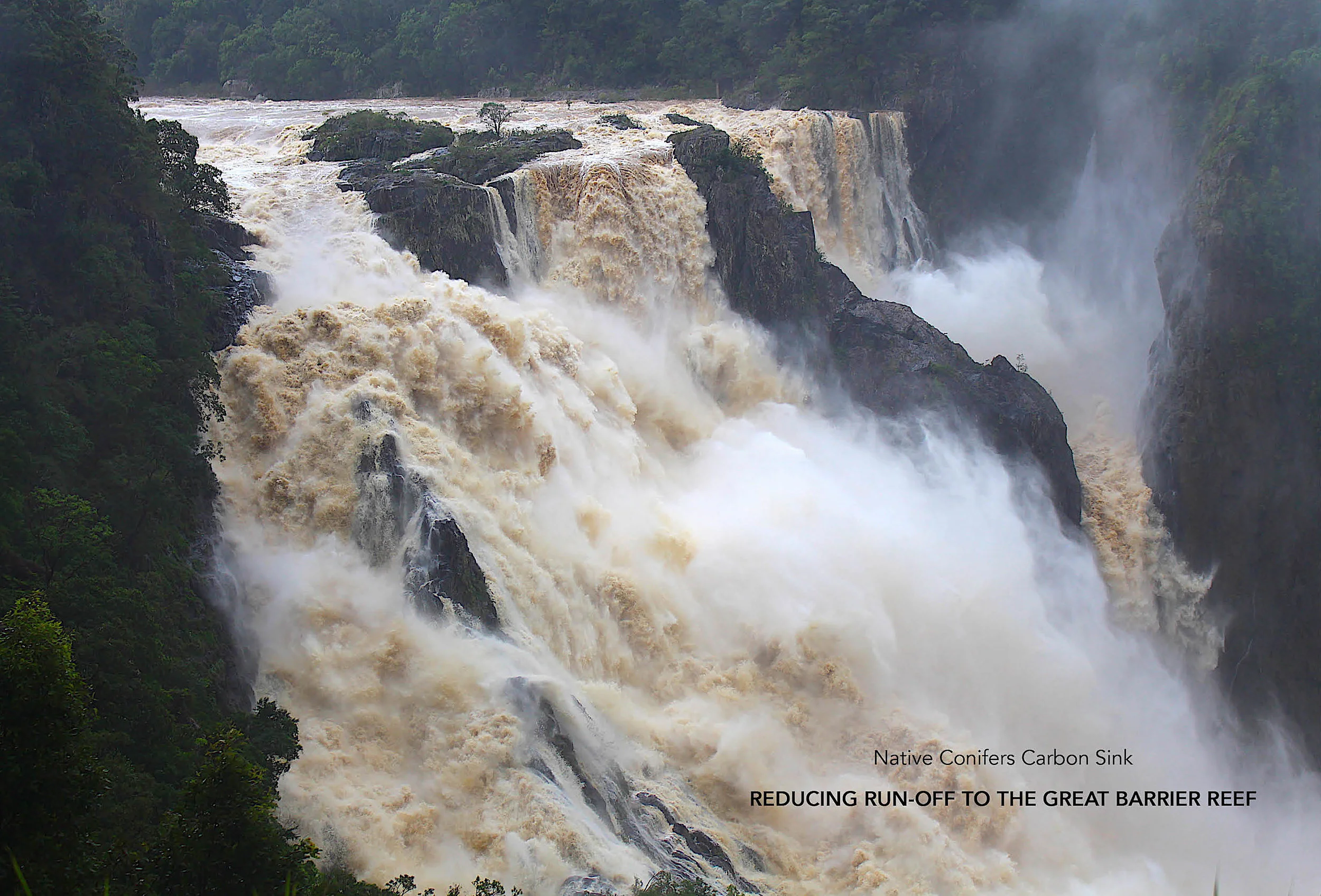 Din Din (Barron Falls, Kuranda)