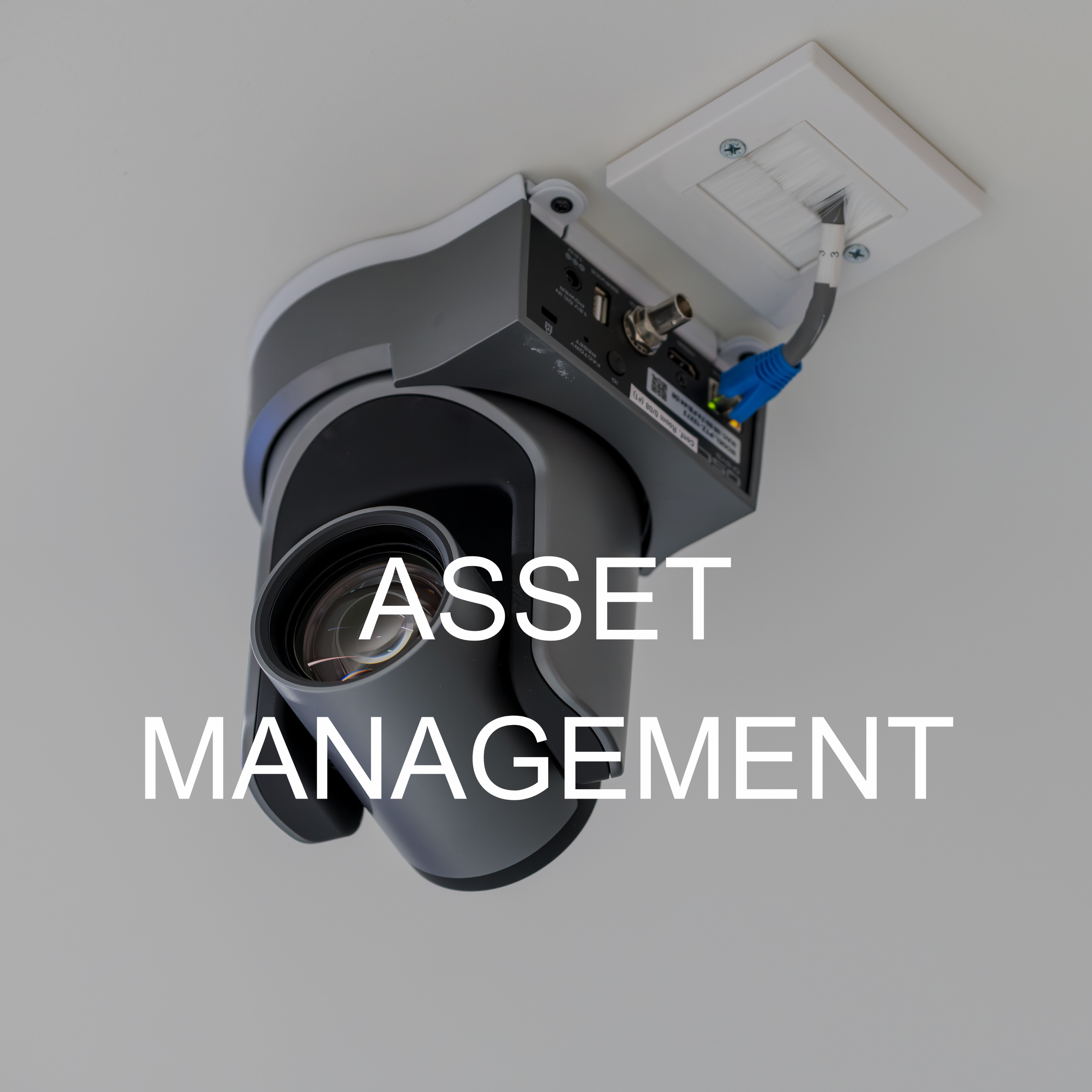 asset management support