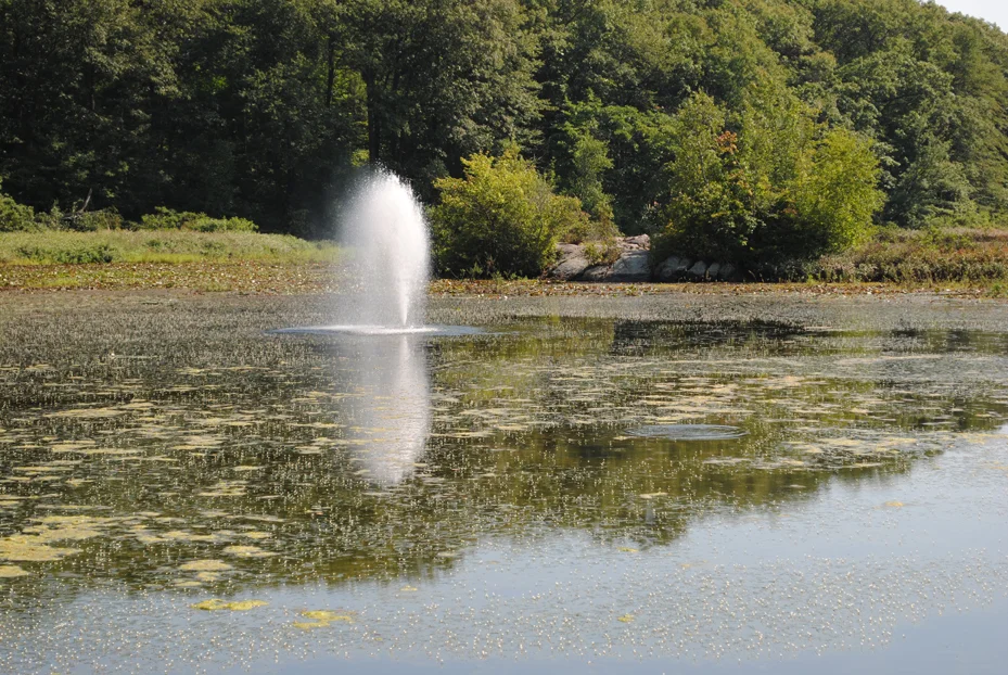1st Pond