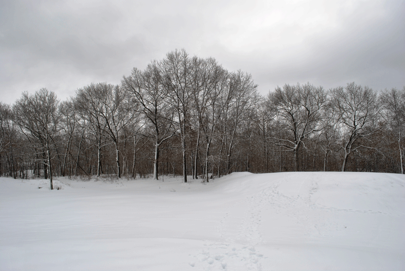 17th Tee