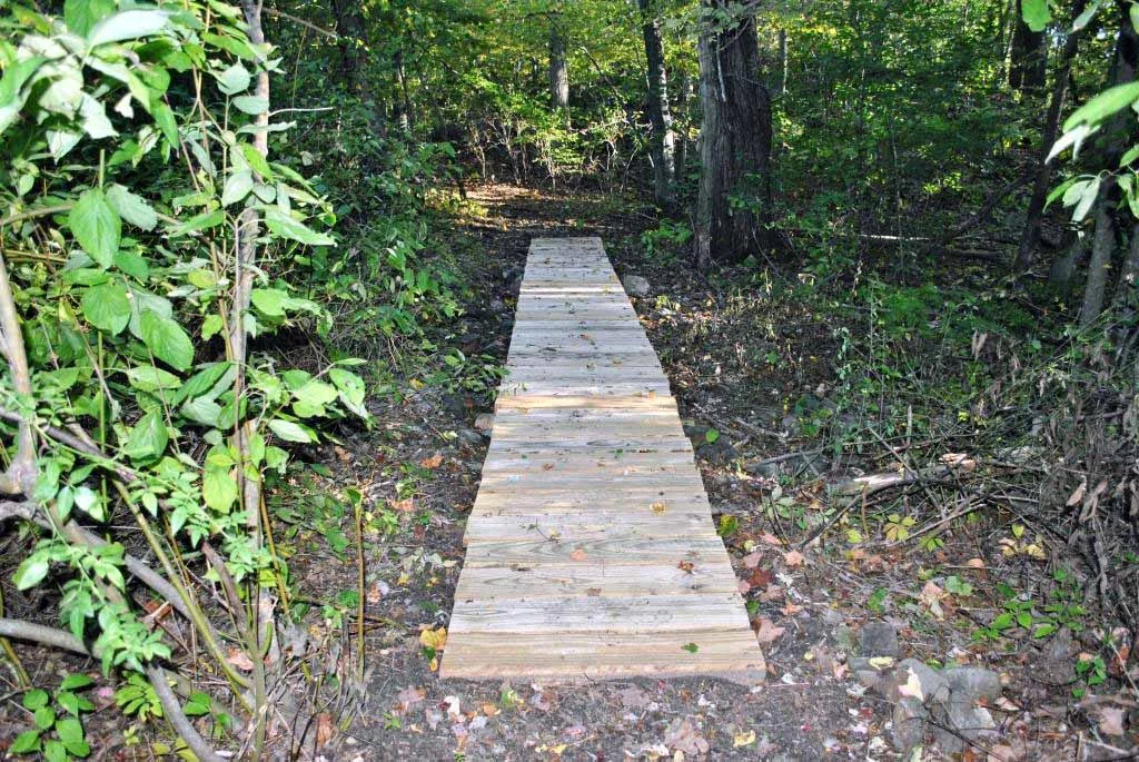 Bike Path