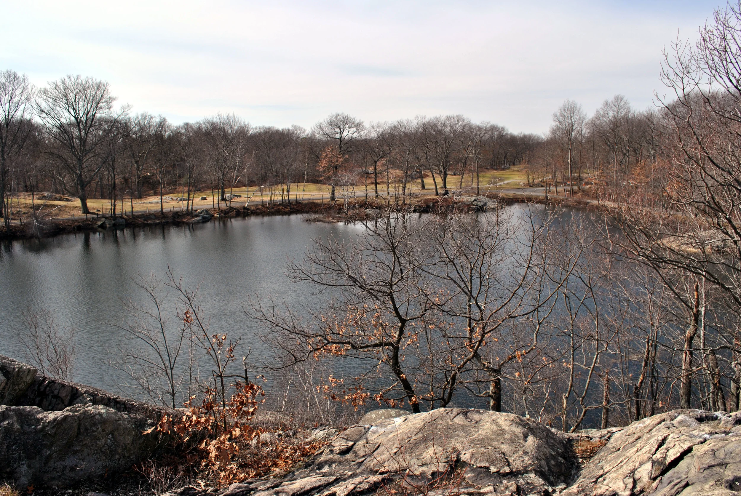 View of 3rd Pond