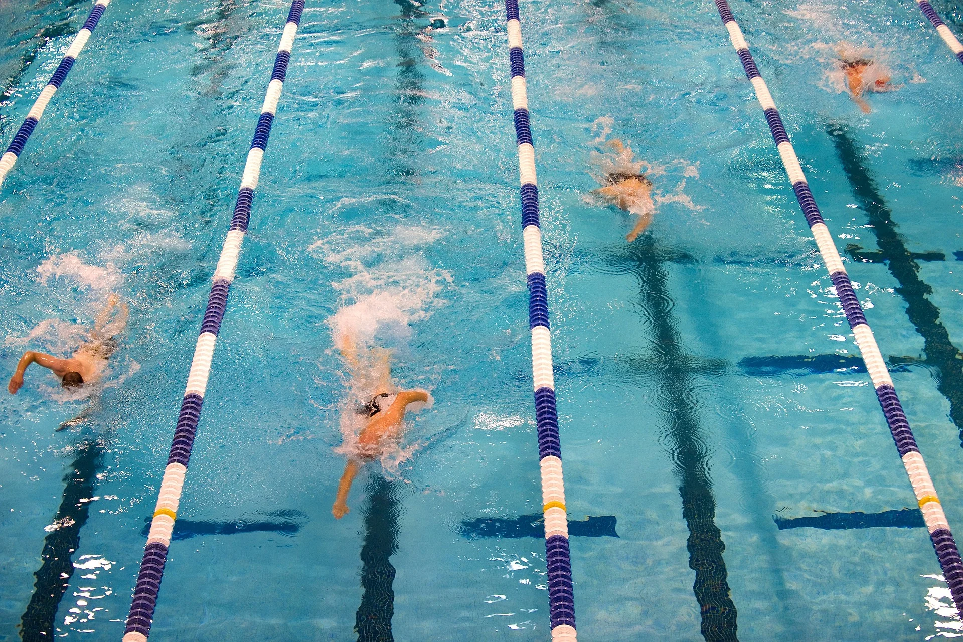 swimming-659903_1920.jpg