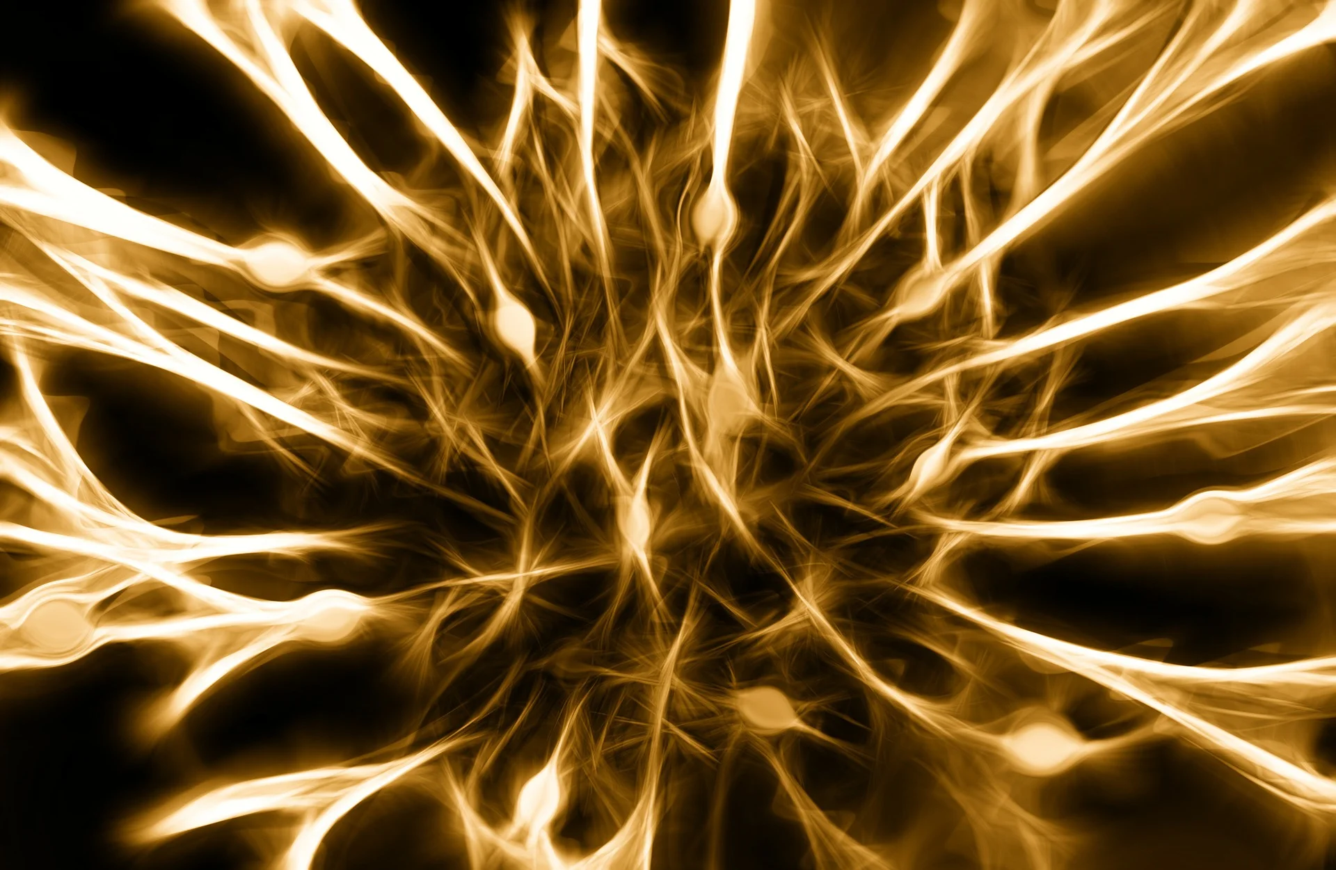nerves-346928_1920.jpg
