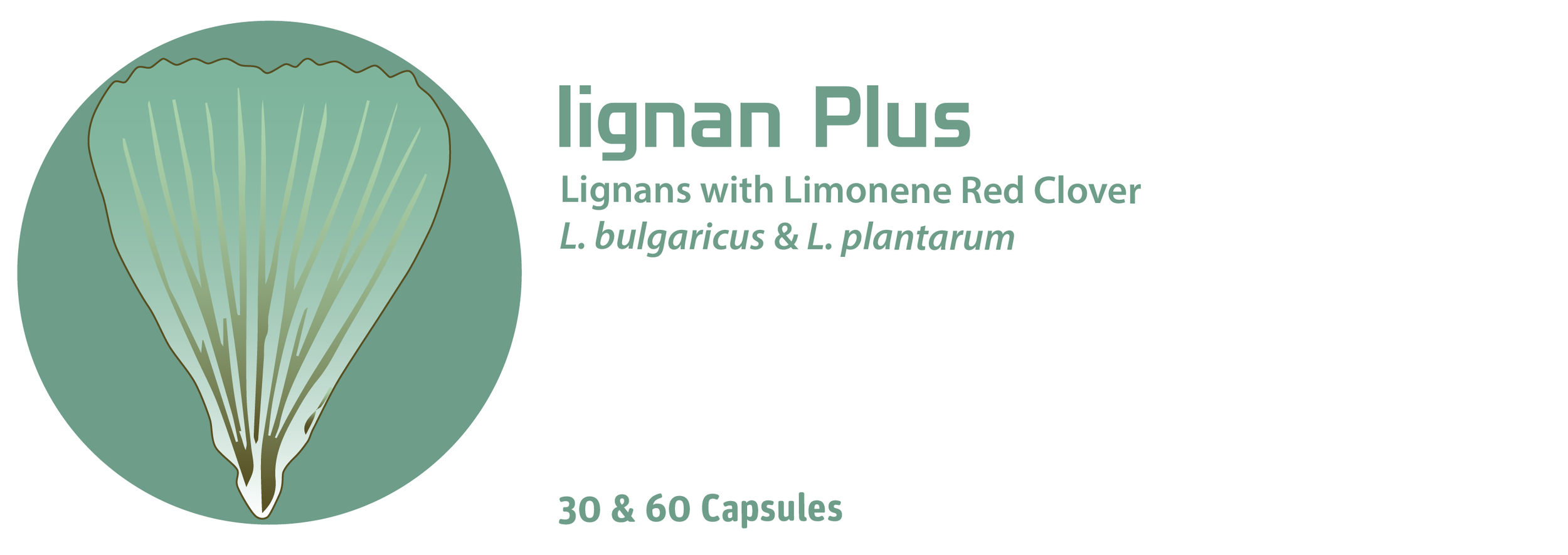 Lignan Plus 23 v2-01.png