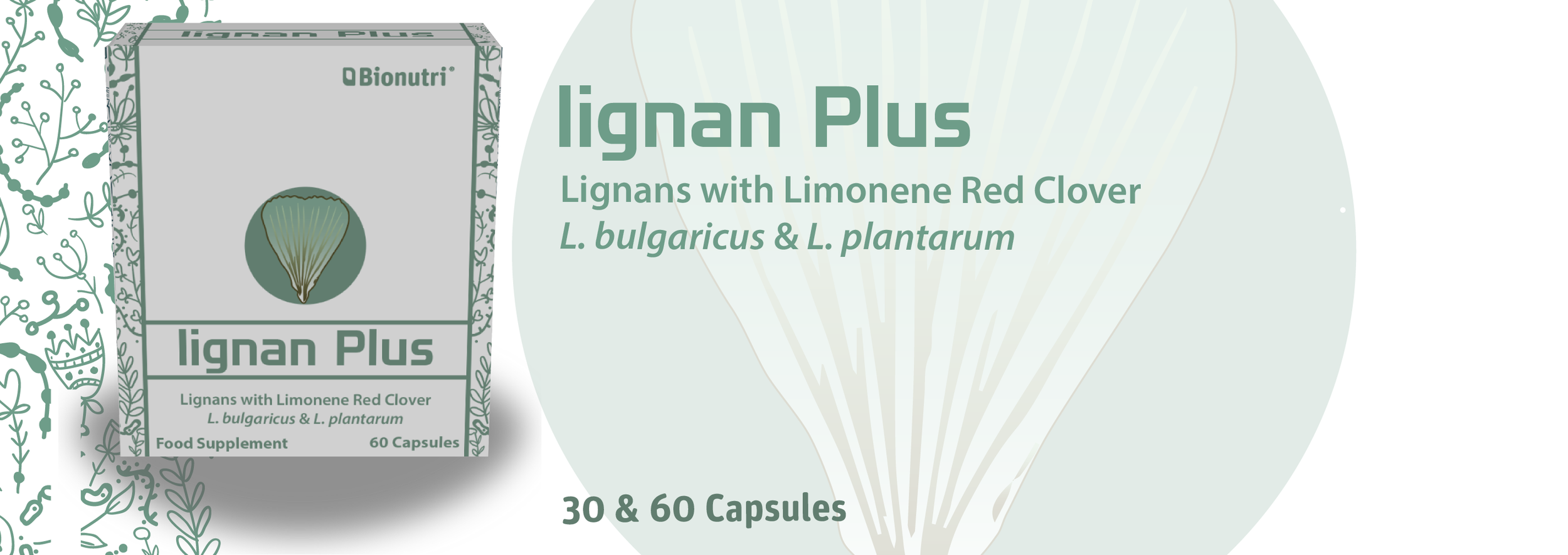 Lignan Plus 23-01-01-01.png