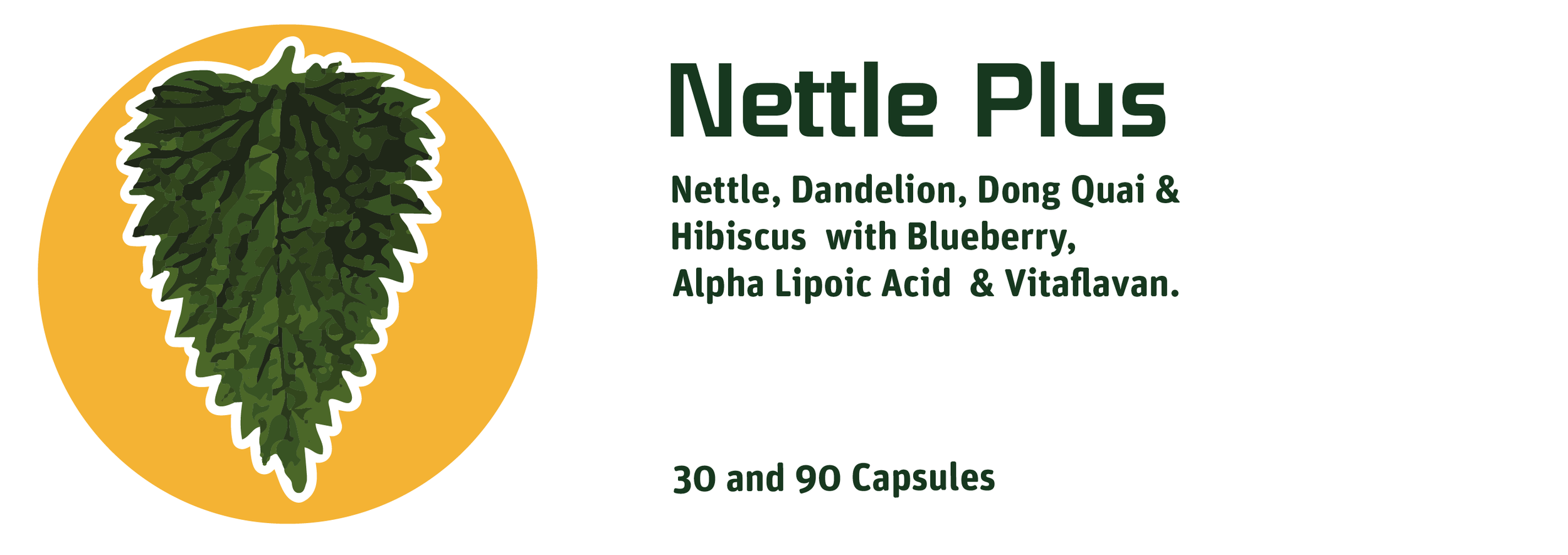 Nettle V2-01.png