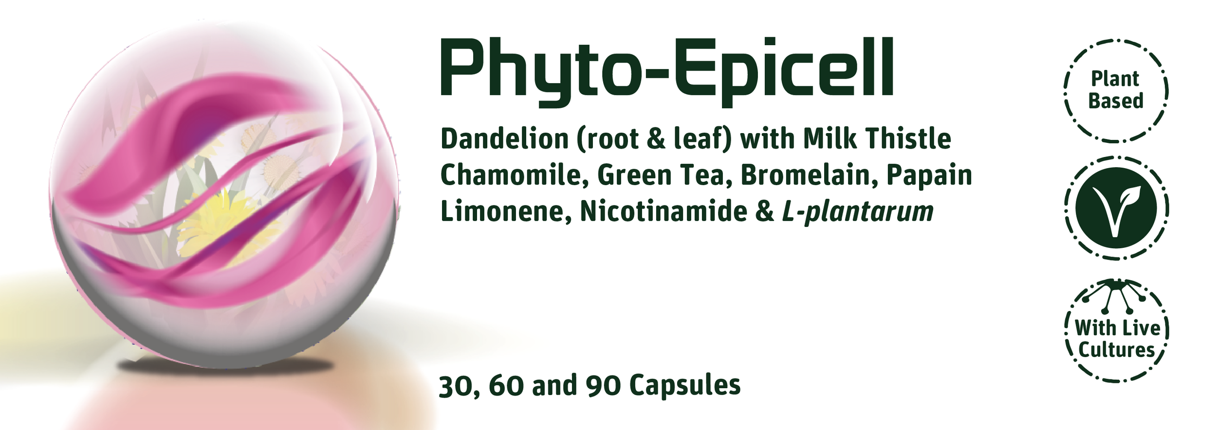 Phyto Epicell 23 V2-01.png