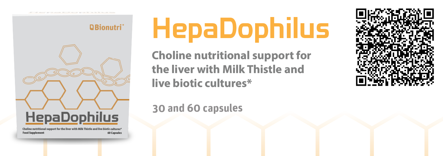 Hepadophilus 26-01.png