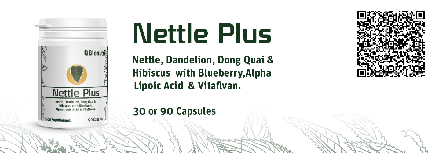 Nettle 26-01.png