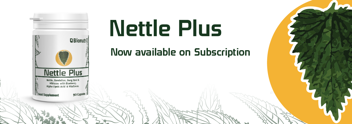 Nettle 26-02.png