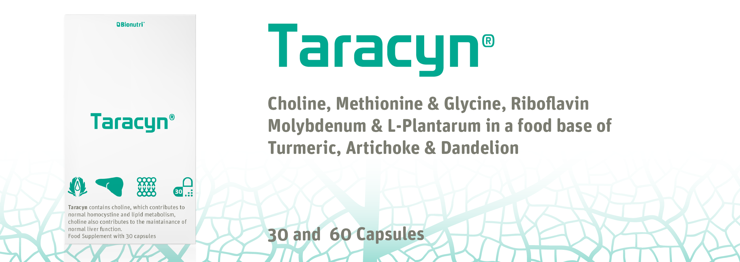 Taracyn 23-01.png