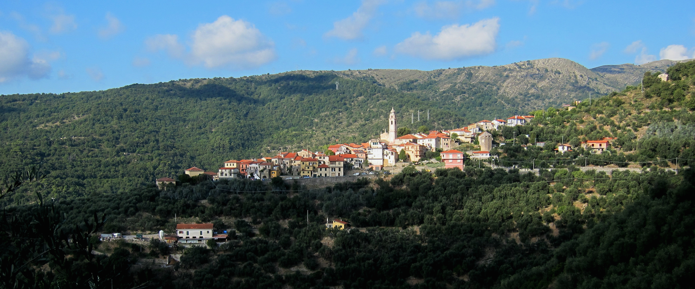 Villa Faraldi - middelhavet foran, Piemonte bak, og omringet av oliventrær