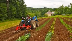 Farmer.jpeg