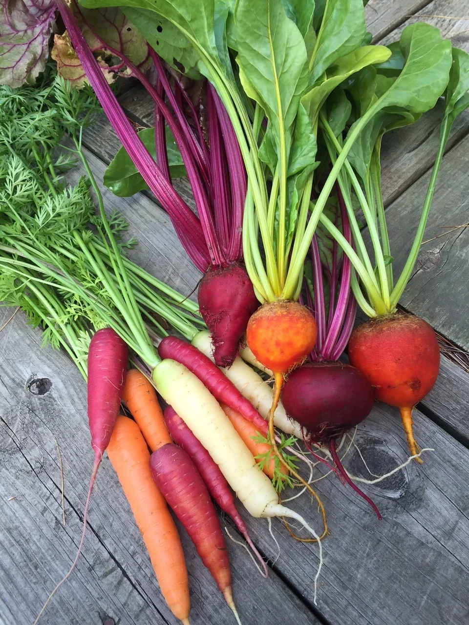 Hitting the Gym, with a Bag of Beets