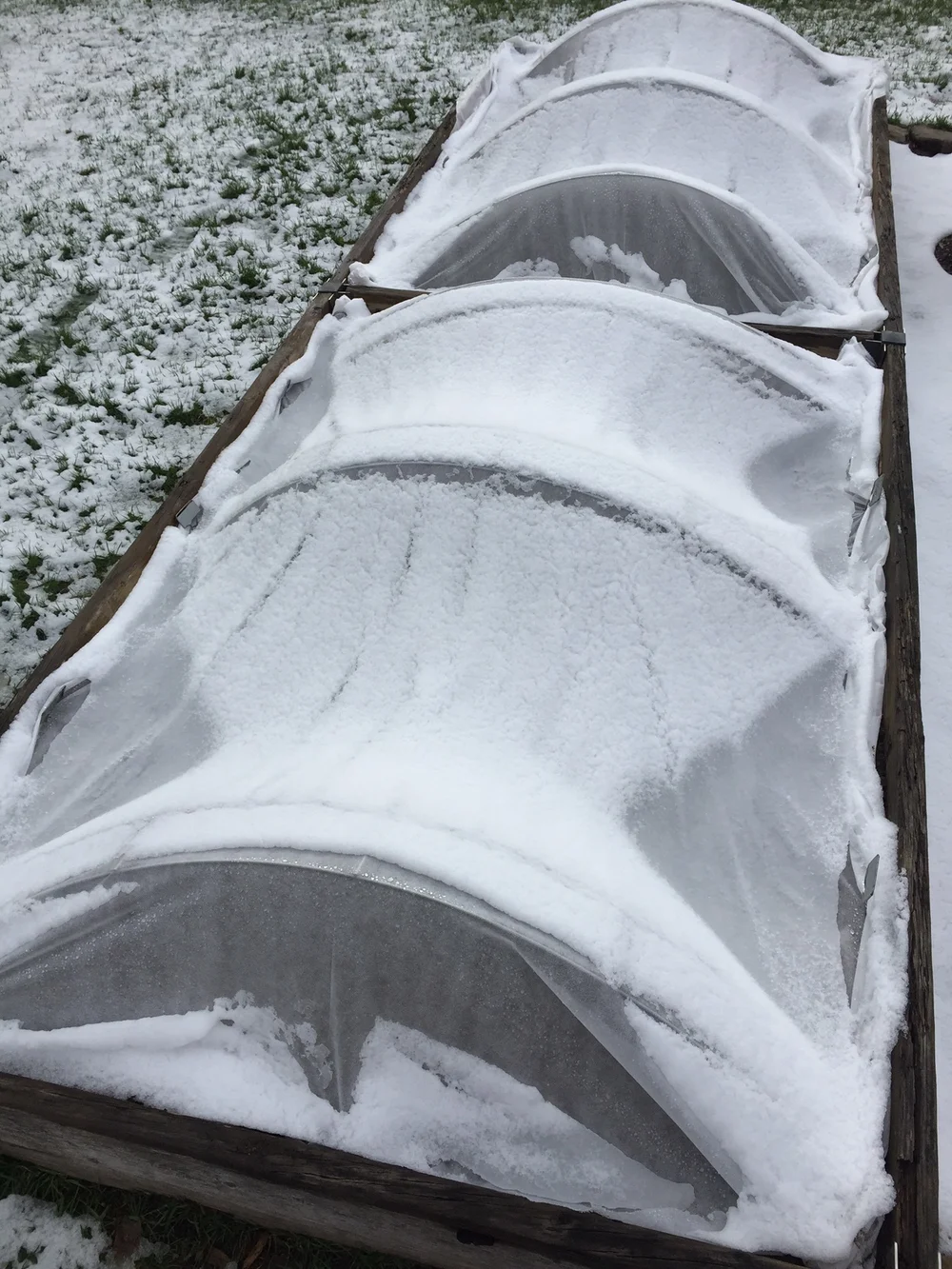 Snow.JPG