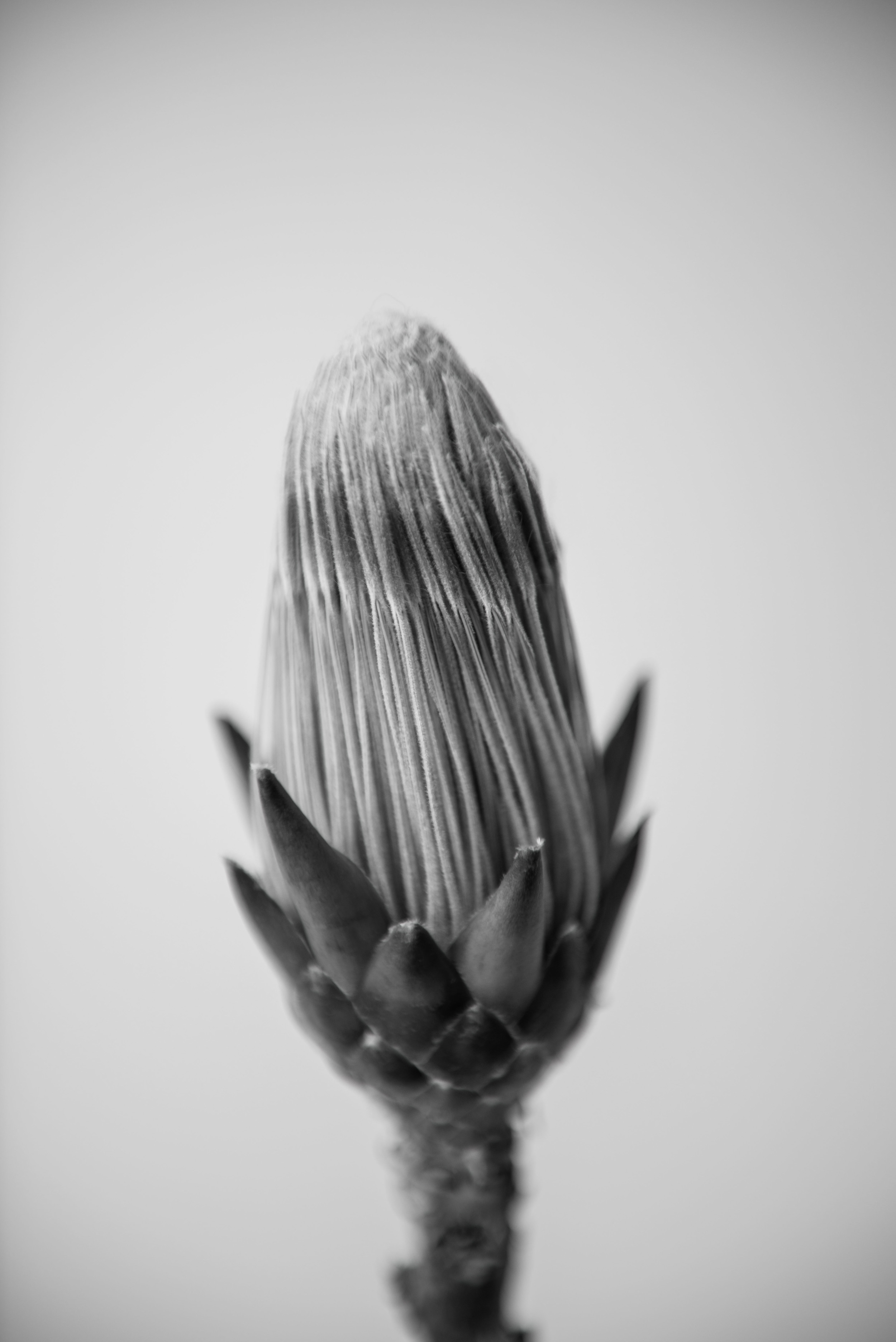 © Oliver Spier 2015