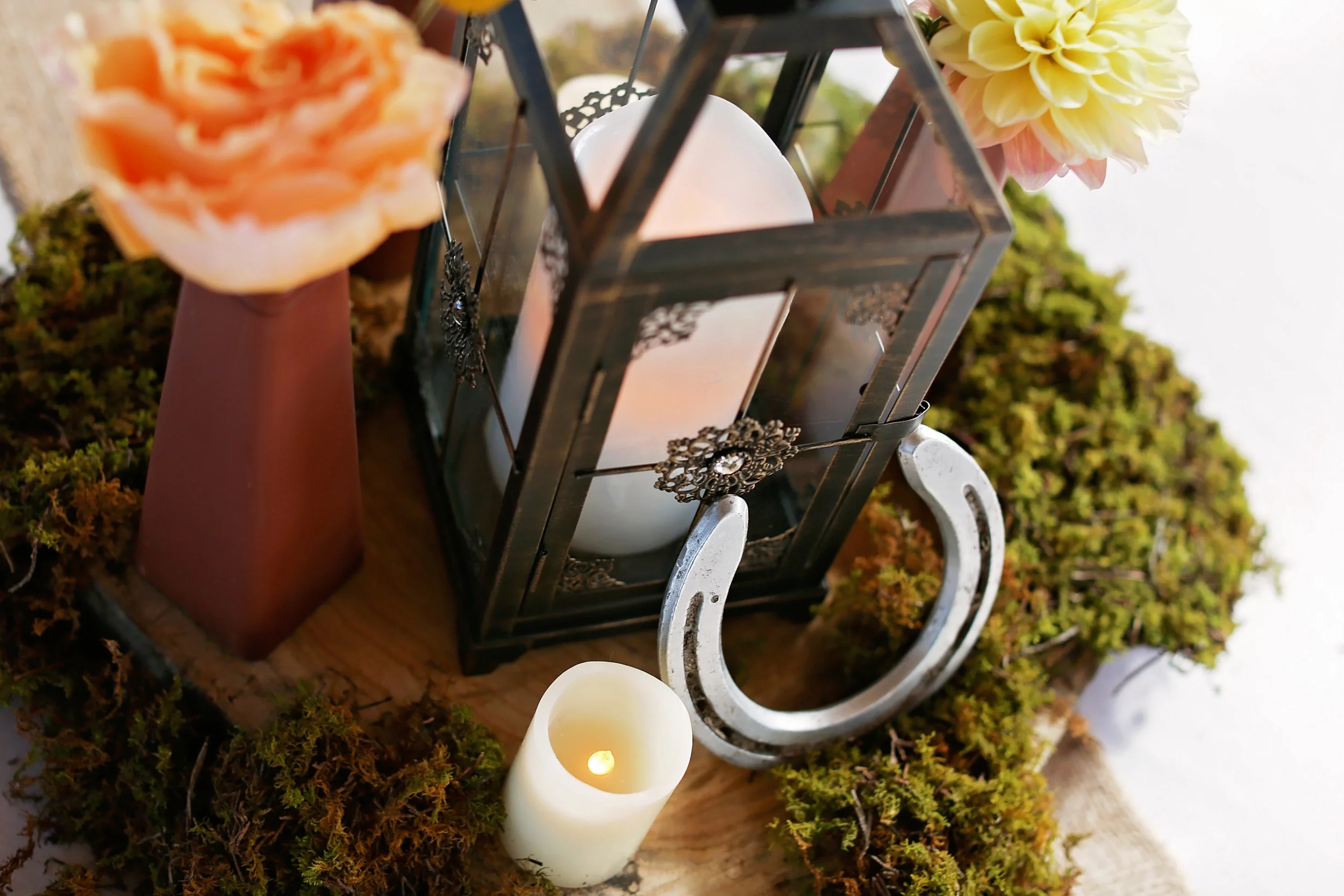Horse shoes bring some "luck" to the table setting.