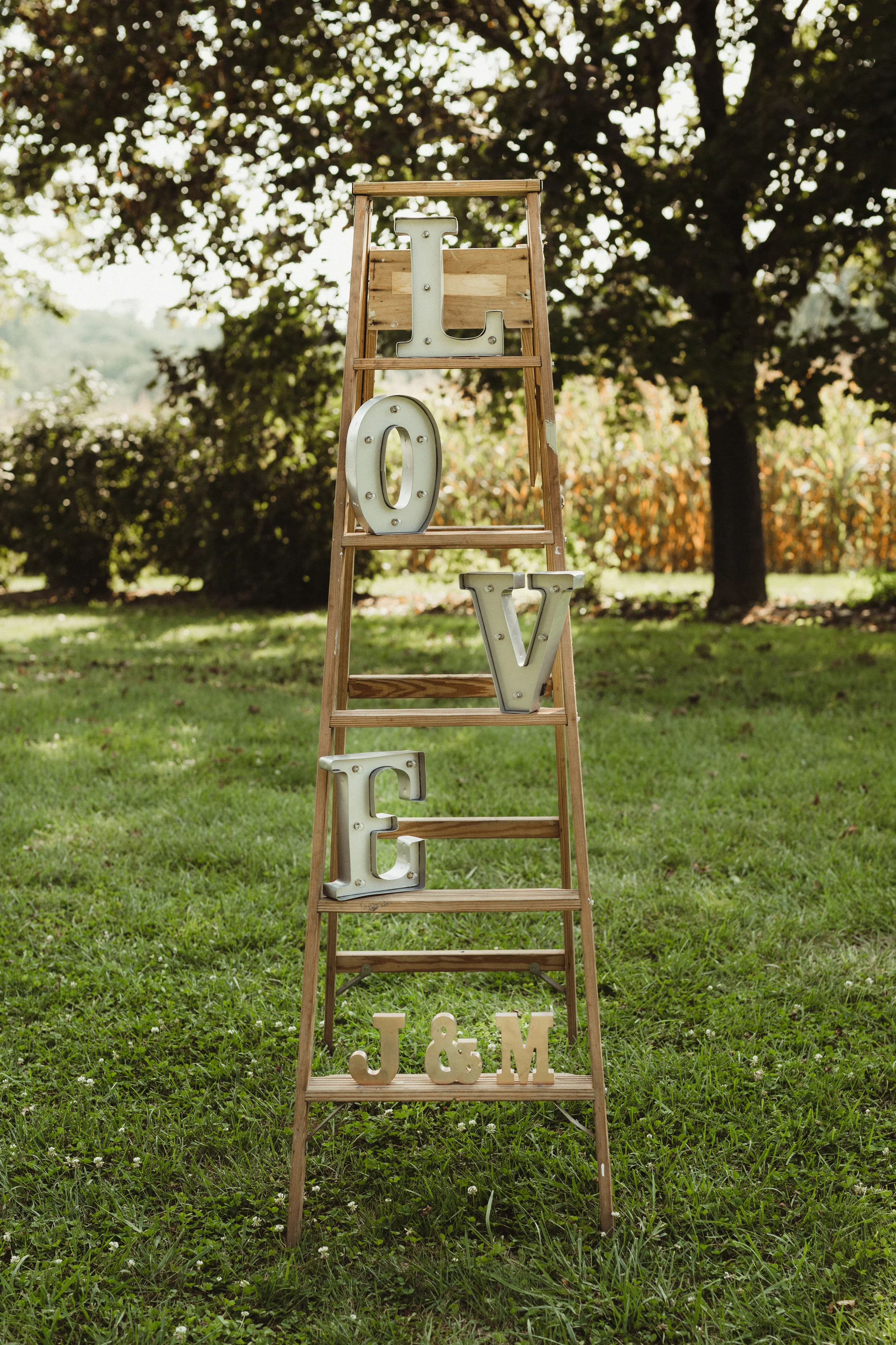 Dads ladder was used to create this entrance to the ceremony.