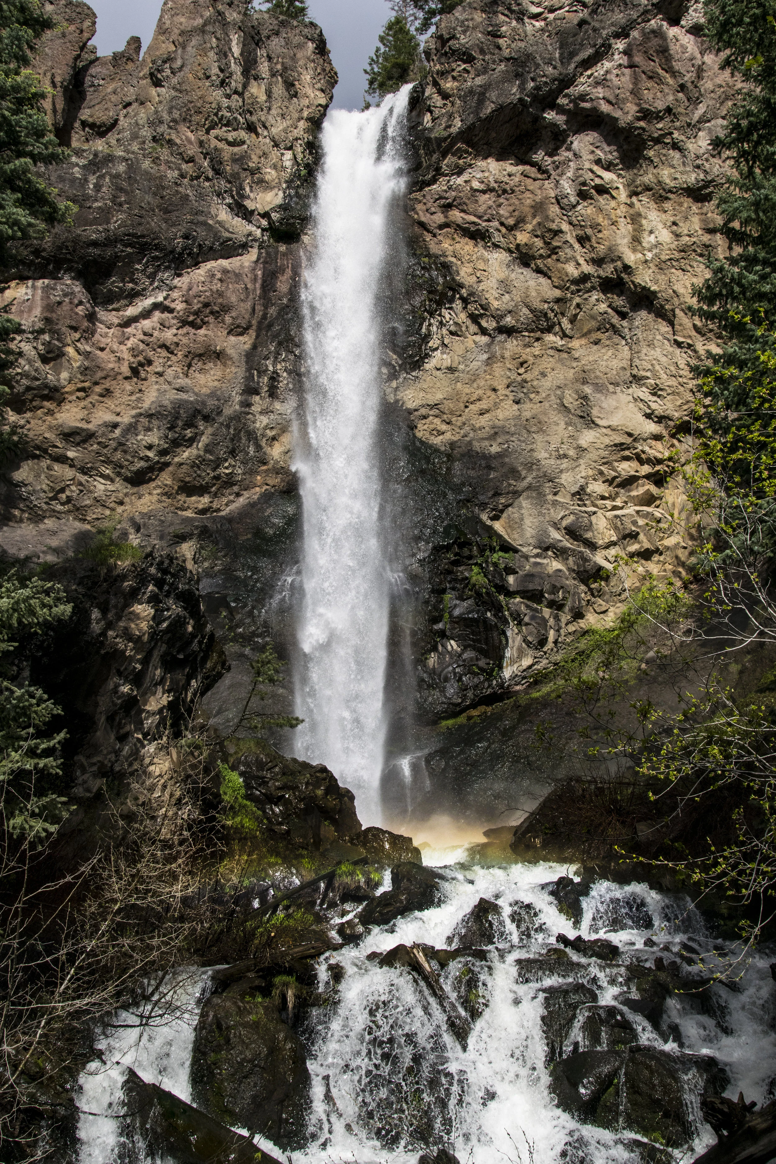 DSC_8233.jpg