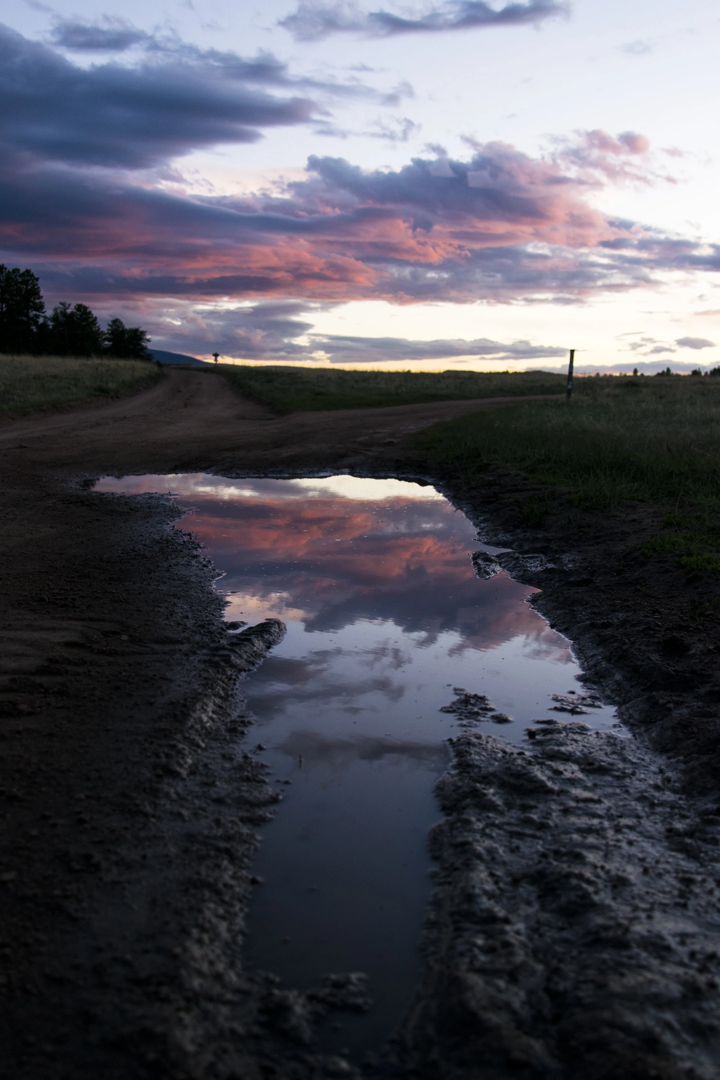 DSC_7891.jpg
