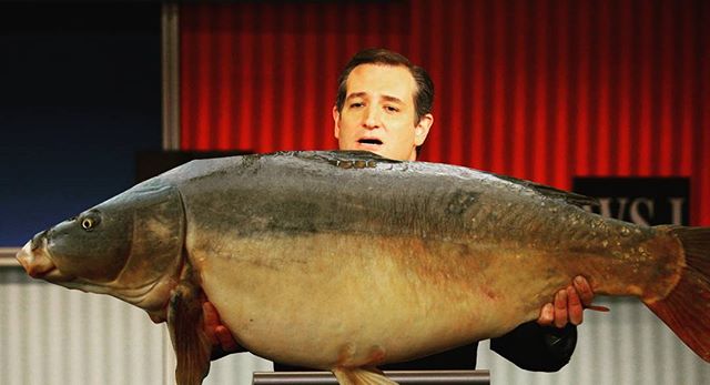 #tedcruz #tedcruz2016 #invasivecarp #illinoisriverproject