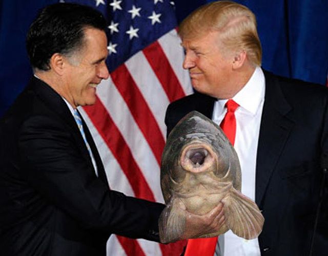 #donald #donaldtrump #romney #illinoisriverproject #invasivecarp