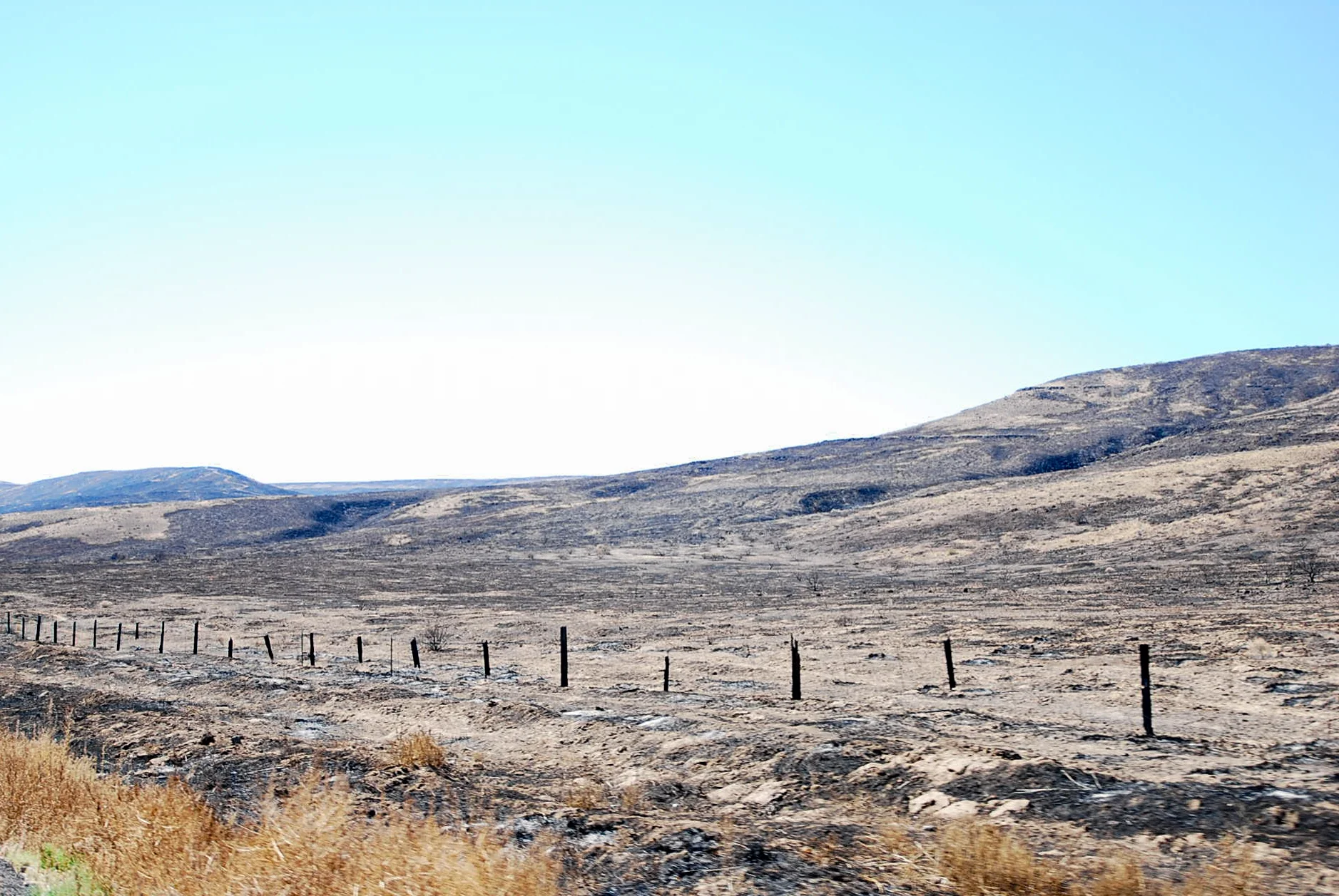 Unintended Scorched Earth Policy, 2007