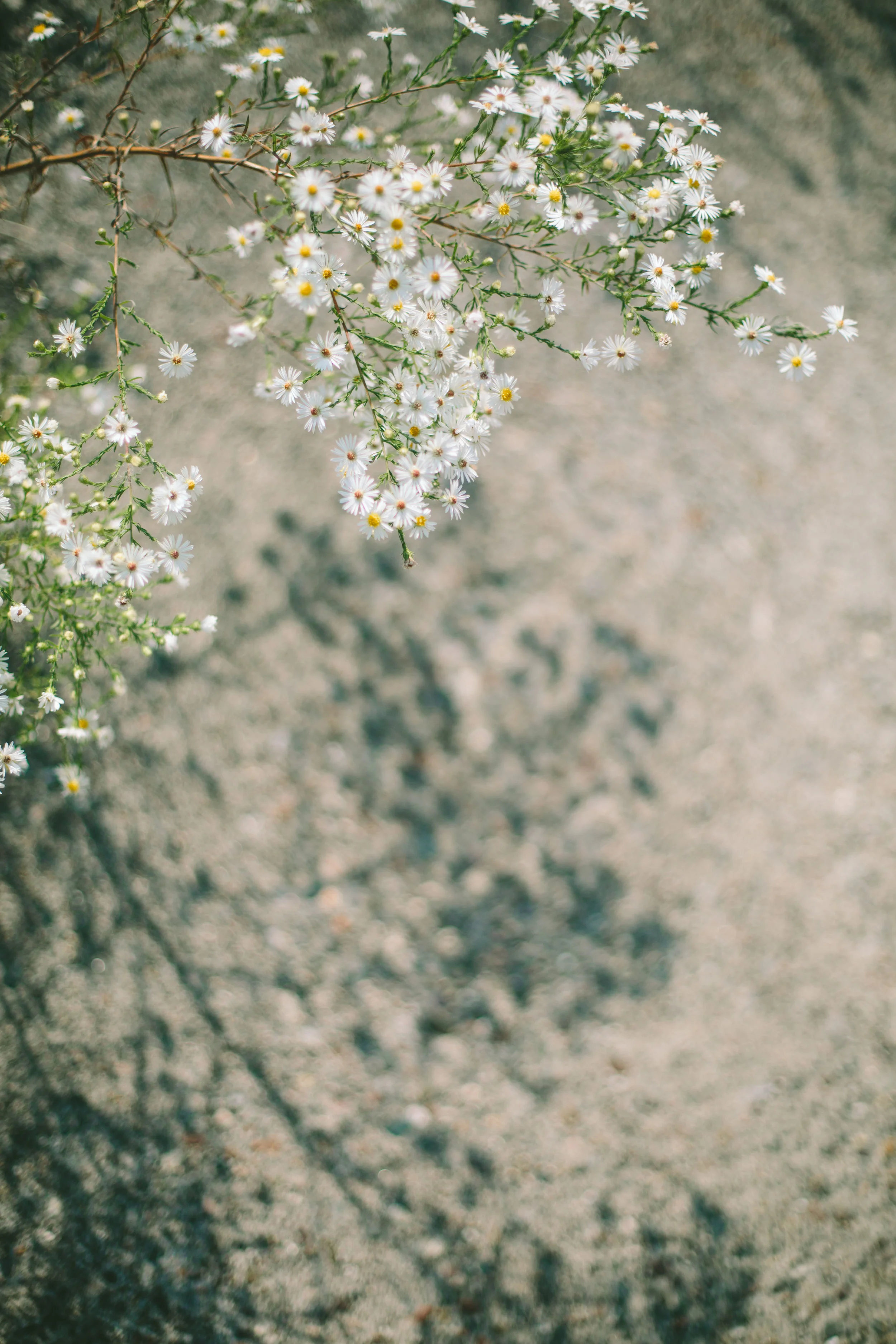 Is there a certain texture/color that pulls you in? 