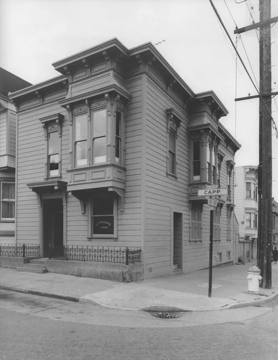 David Ireland SMP 2.jpeg