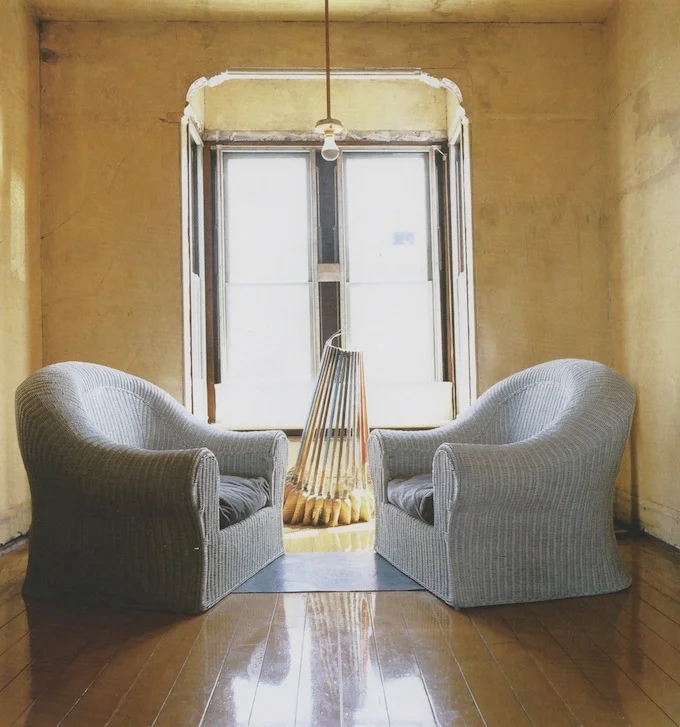 David Ireland SMP 3.jpeg