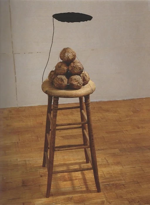 David Ireland SMP 5.jpeg