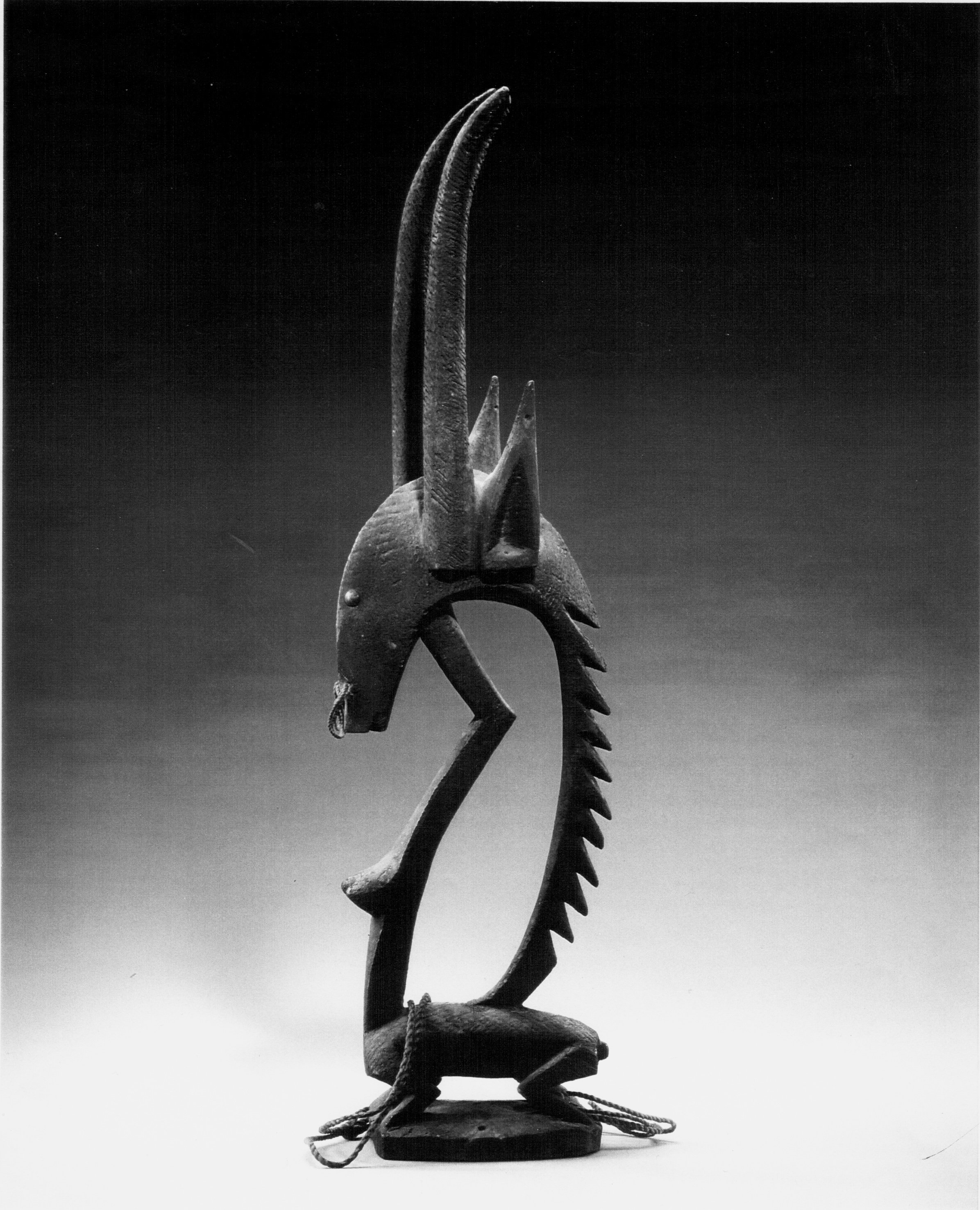 Alan Brandt Photo Archive 44 to use.jpeg