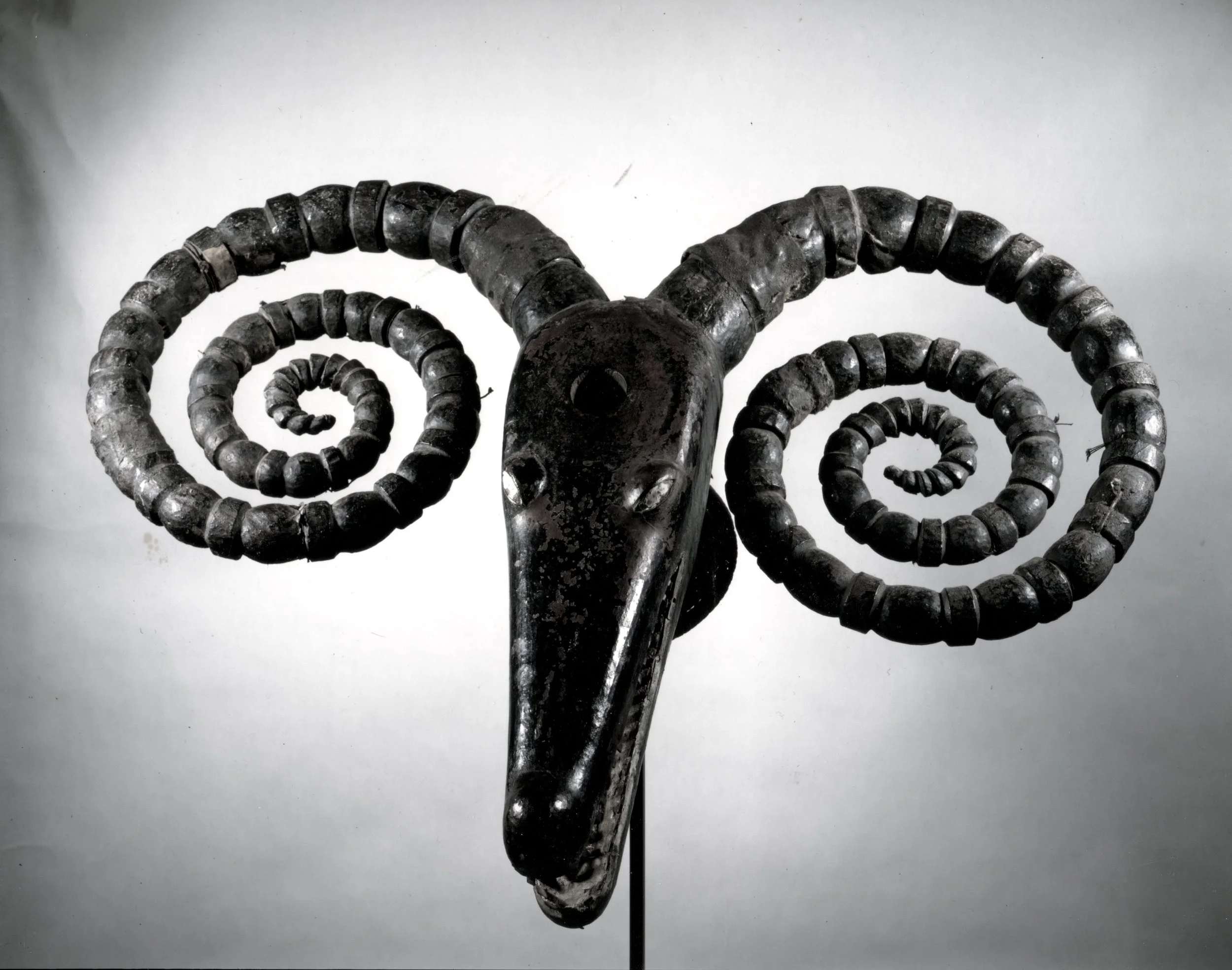 Alan Brandt Photo Archive 62 to use.jpeg