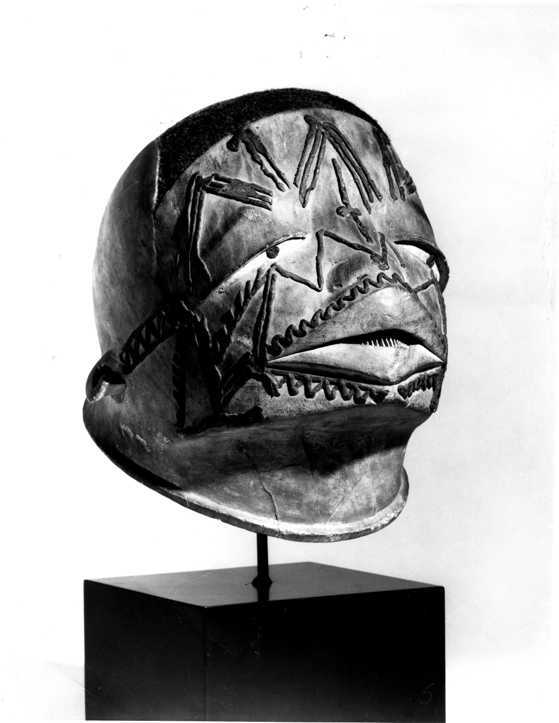 Alan Brandt Photo Archive 195 to use.jpeg