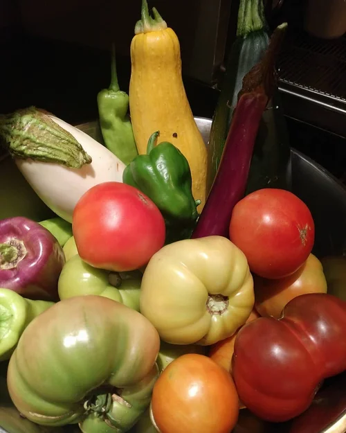 Monticello at Red Bank Italian Restaurant