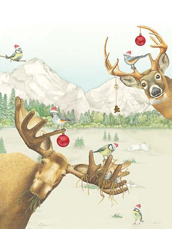 Wishingwell-XMAS-120x160-12.jpg