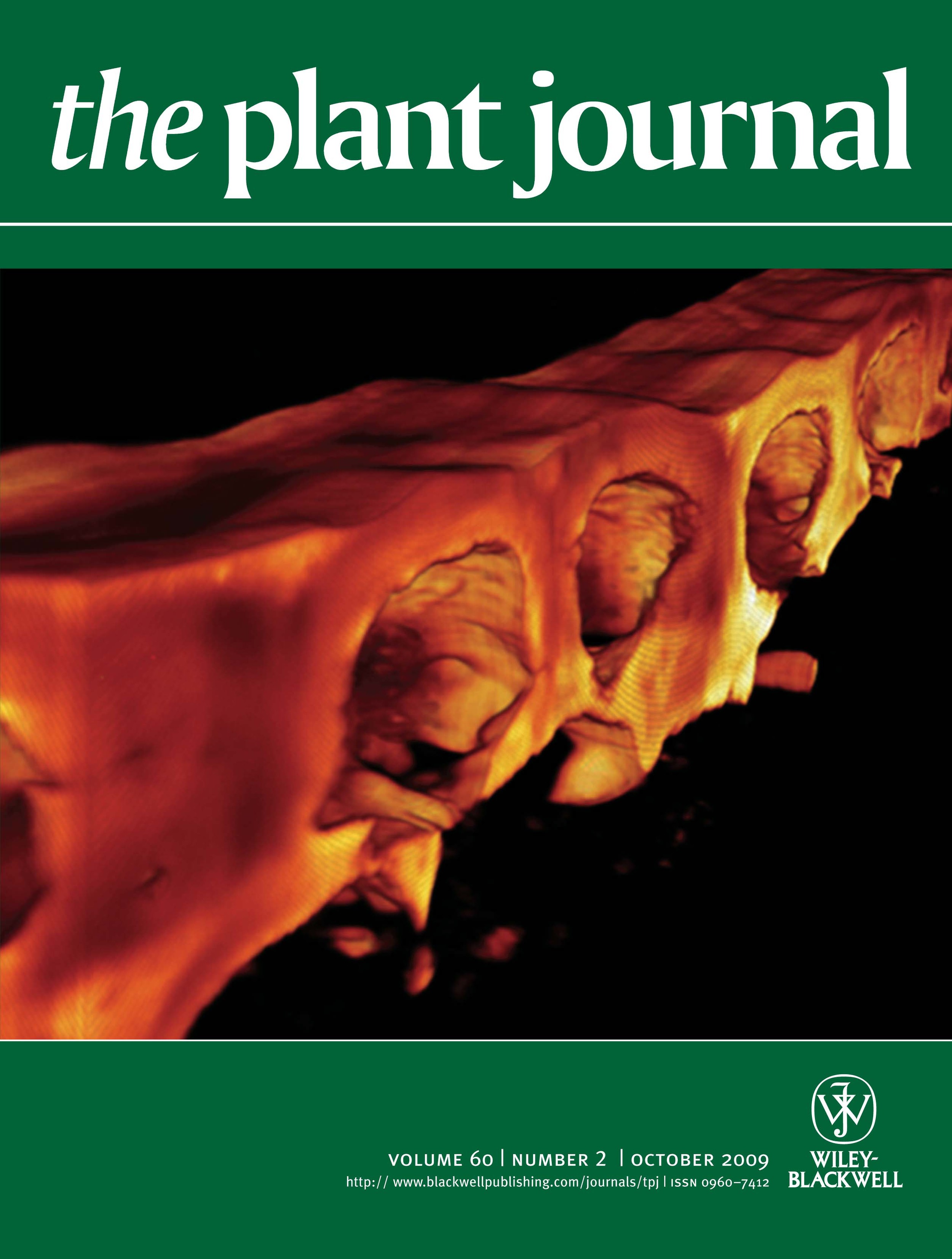 tpj_60_2_cover.jpg