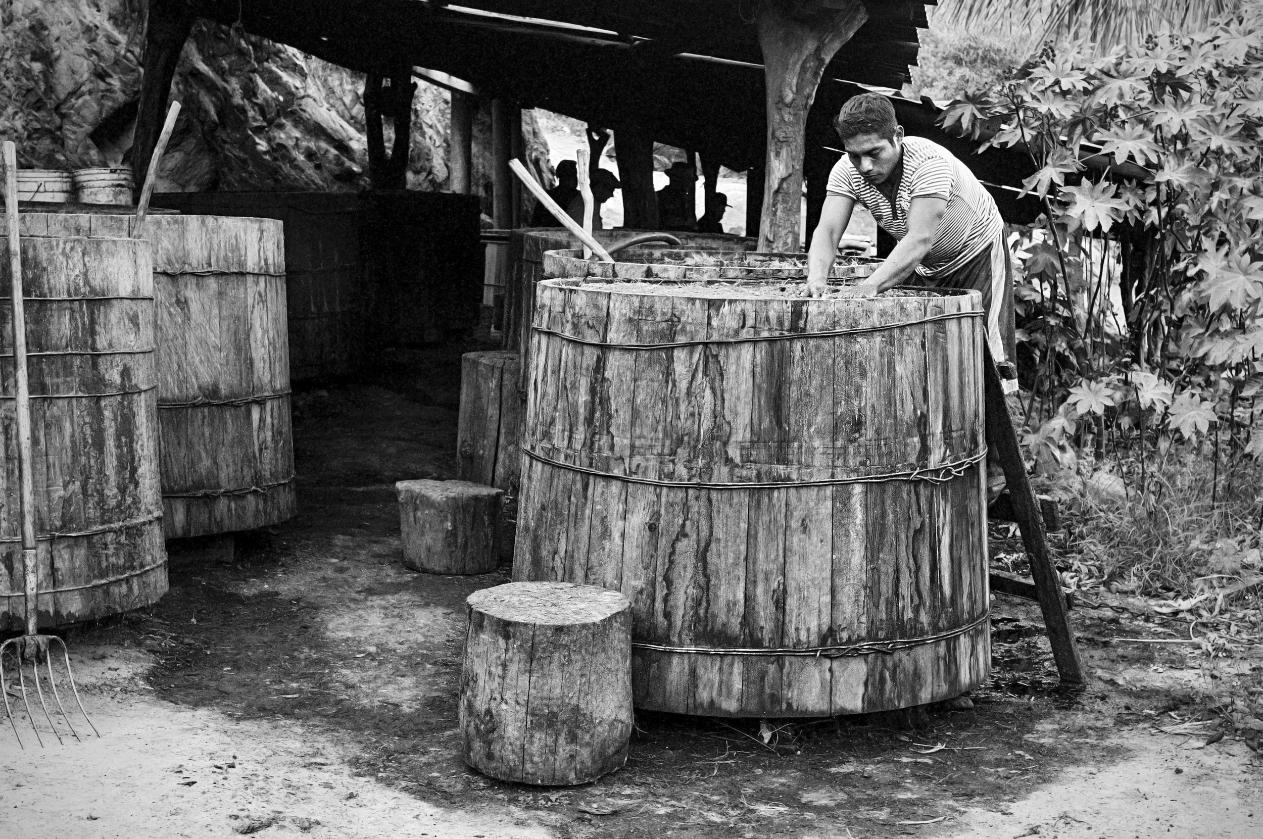 "La Fermentación"