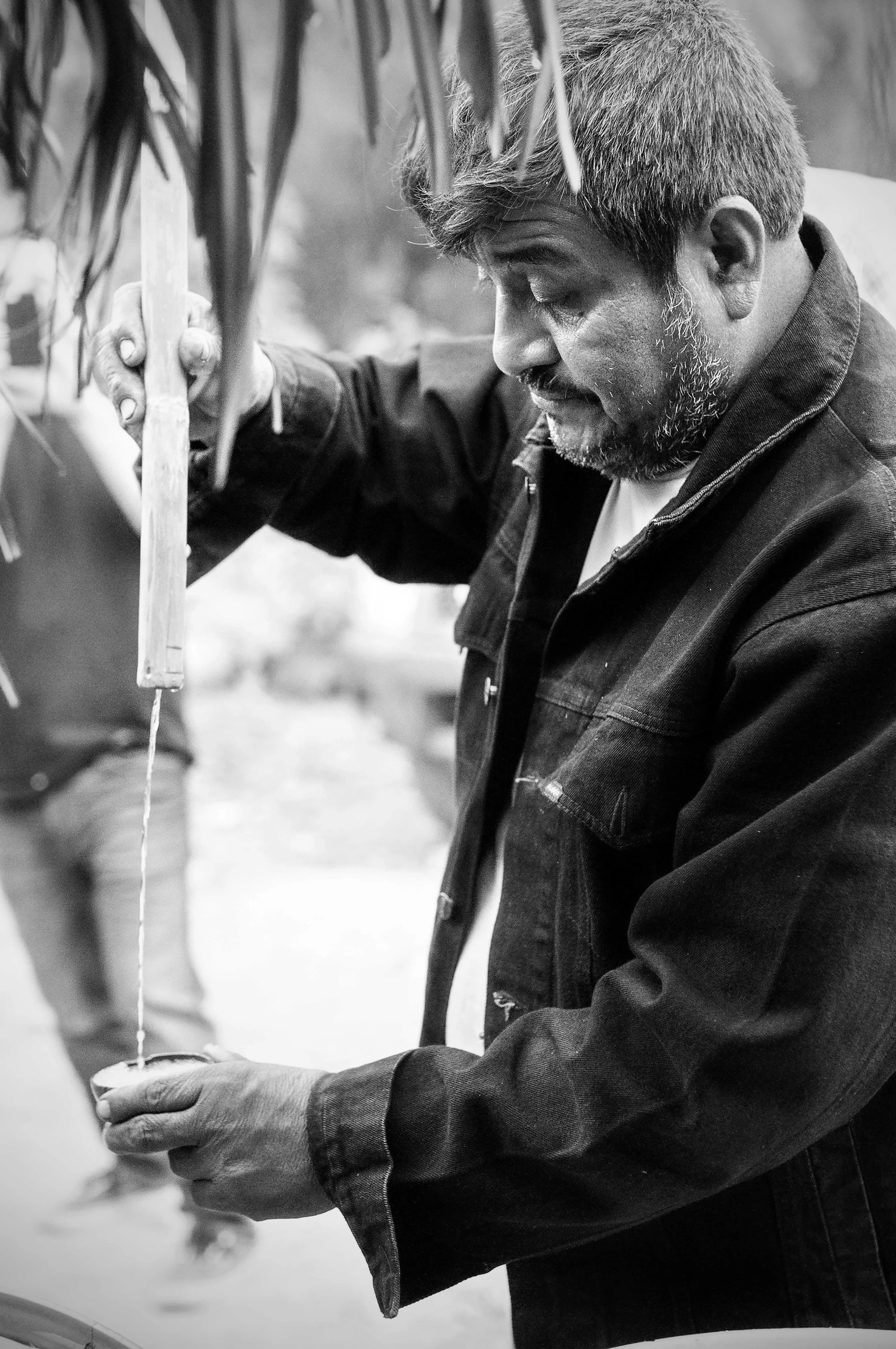 Paciano Cruz Nolasco, San Luis del Rio