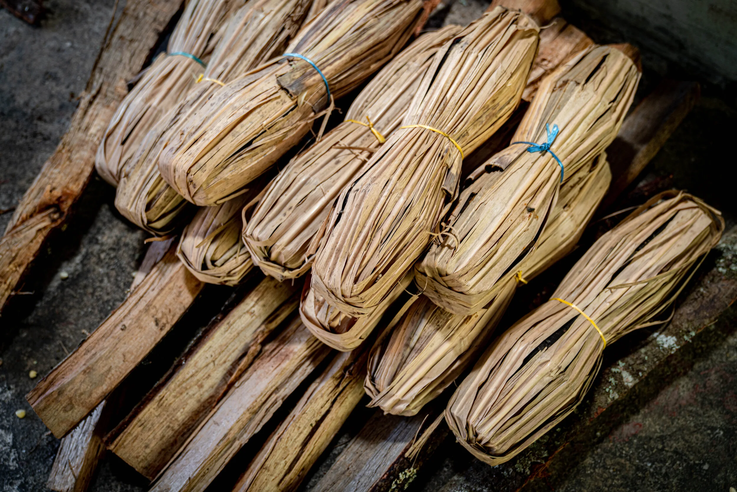Siglo Cero Chiapas, Mexico August 2019