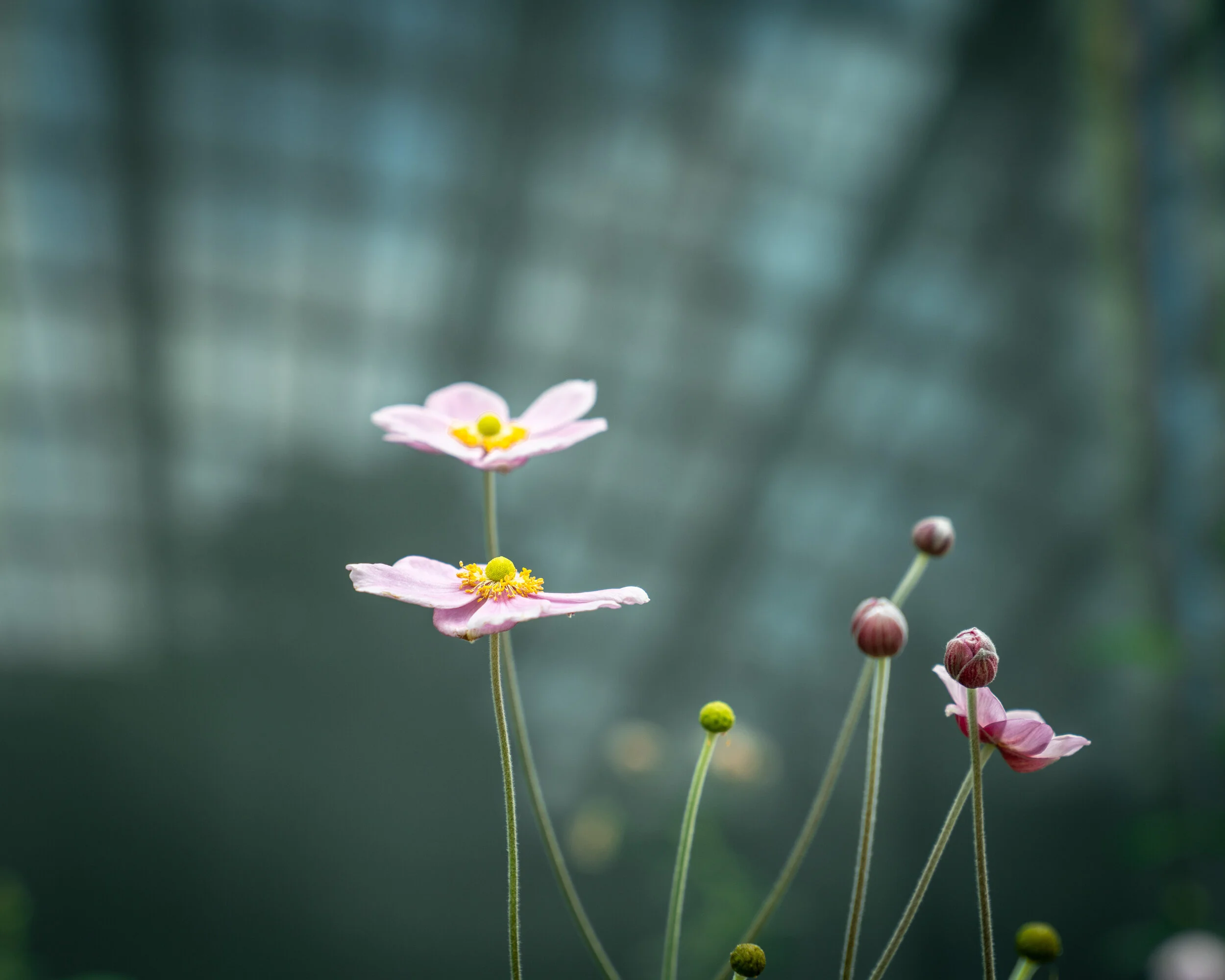 Singapore July 2019