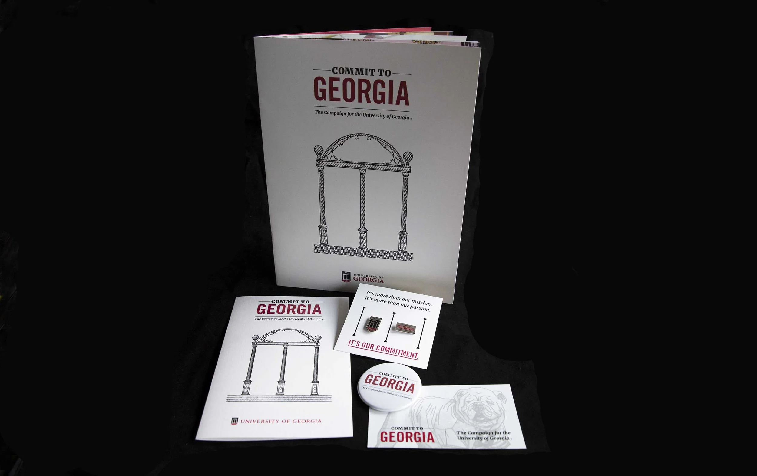 Campaign Collateral3-smaller.jpg