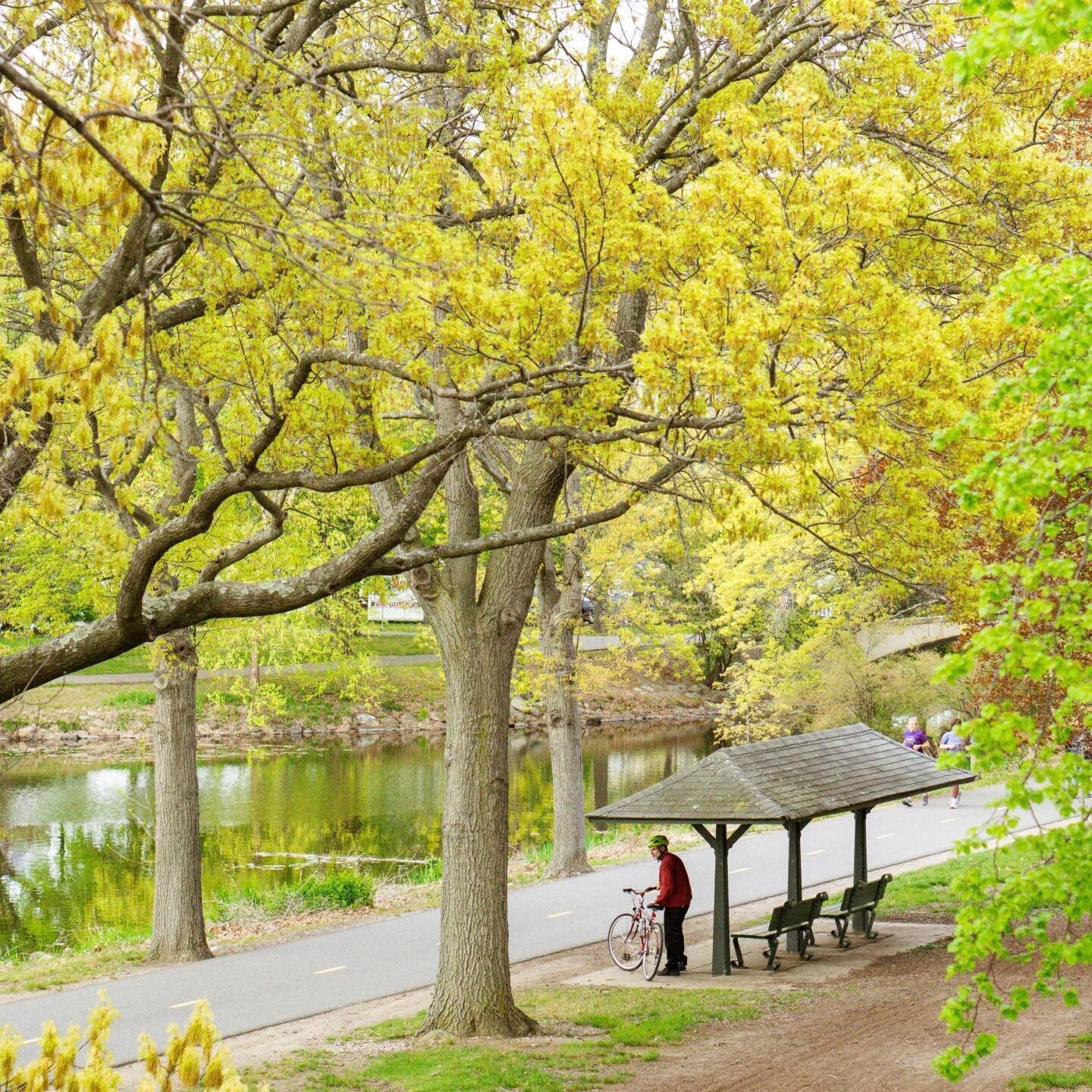 Hope this heat wave is over!

Sonya6000
.
.
.
.
.
.
 #moodygrams #agameoftones #bostonglobelife  #streetstyle #usaprimeshot #flowerstagram #iheartboston #bostondotcom #igersboston #igboston #igersnewengland #igersmass #followingboston #sonyalpha #son