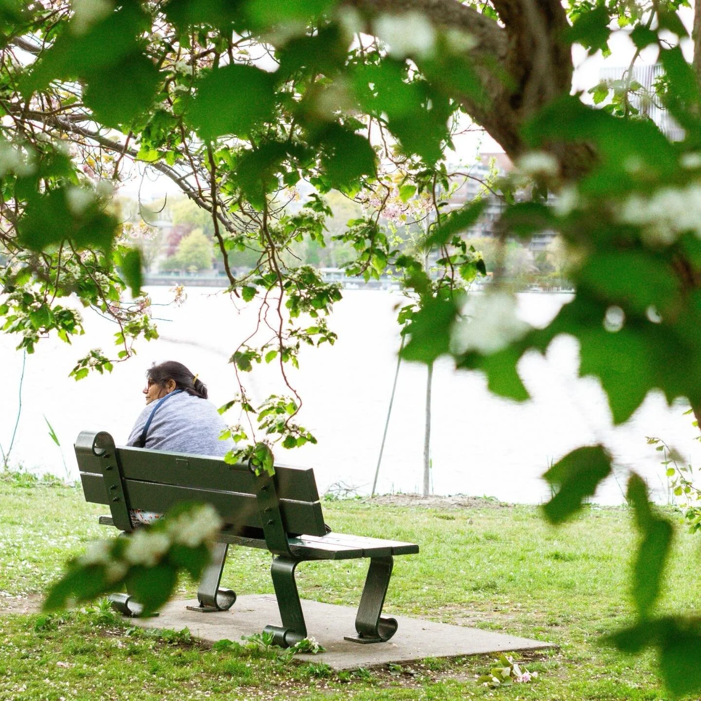 Recovering from Boston Calling 😴

Sonya6000
.
.
.
.
.
.
 #moodygrams #agameoftones #bostonglobelife  #streetstyle #usaprimeshot #flowerstagram #iheartboston #bostondotcom #igersboston #igboston #igersnewengland #igersmass #followingboston #sonyalpha