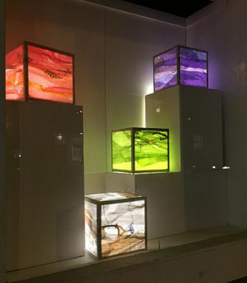  Sculpture installation, 2015  Aquarium Gallery  Ann Arbor, MI 
