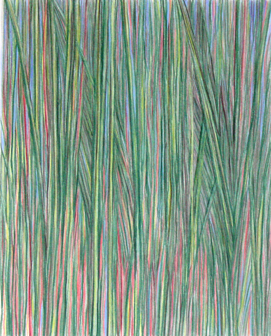   Florida Bamboo.  2017  Polychromos color pencils on paper   