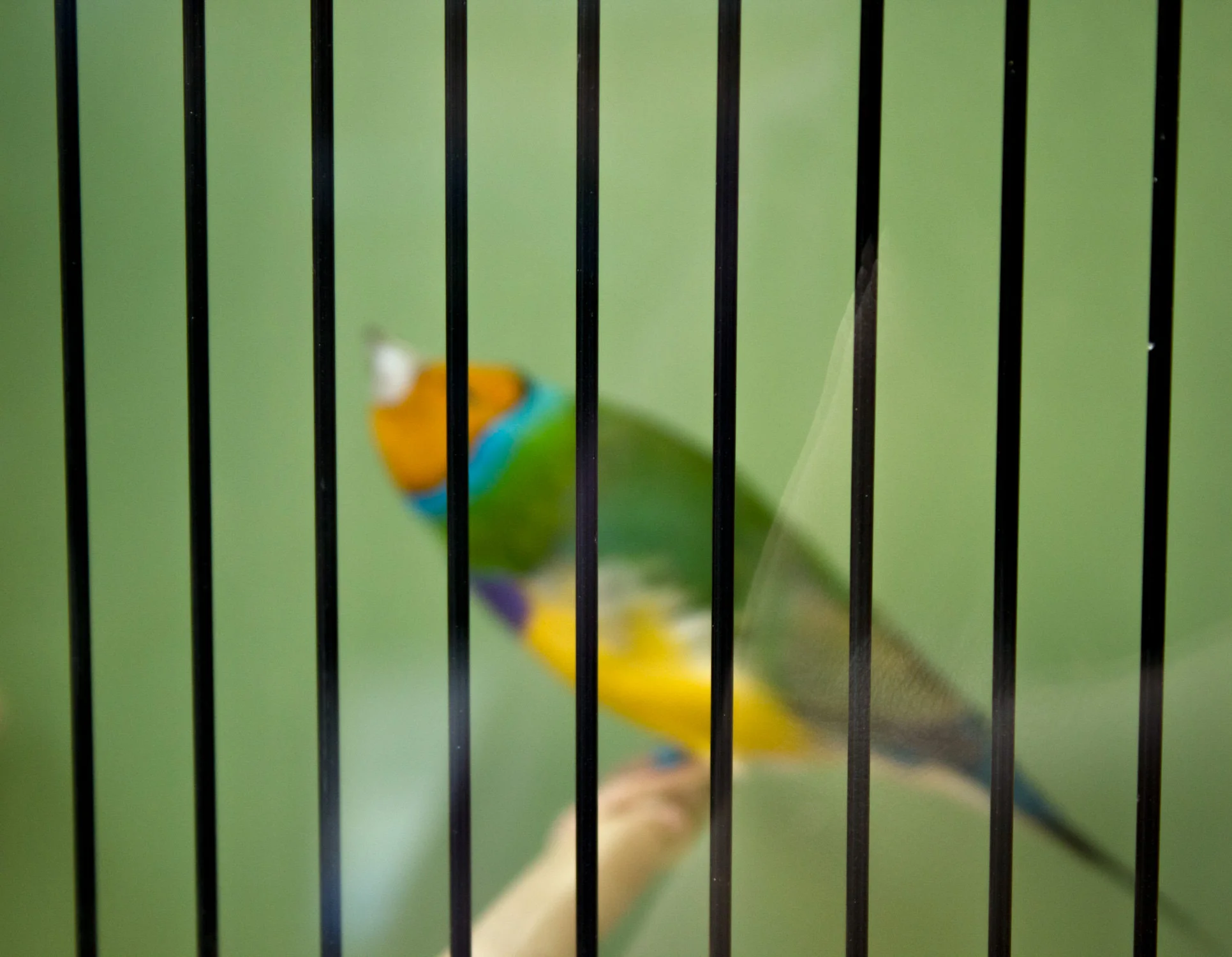 IMG_0436editsmall.jpg