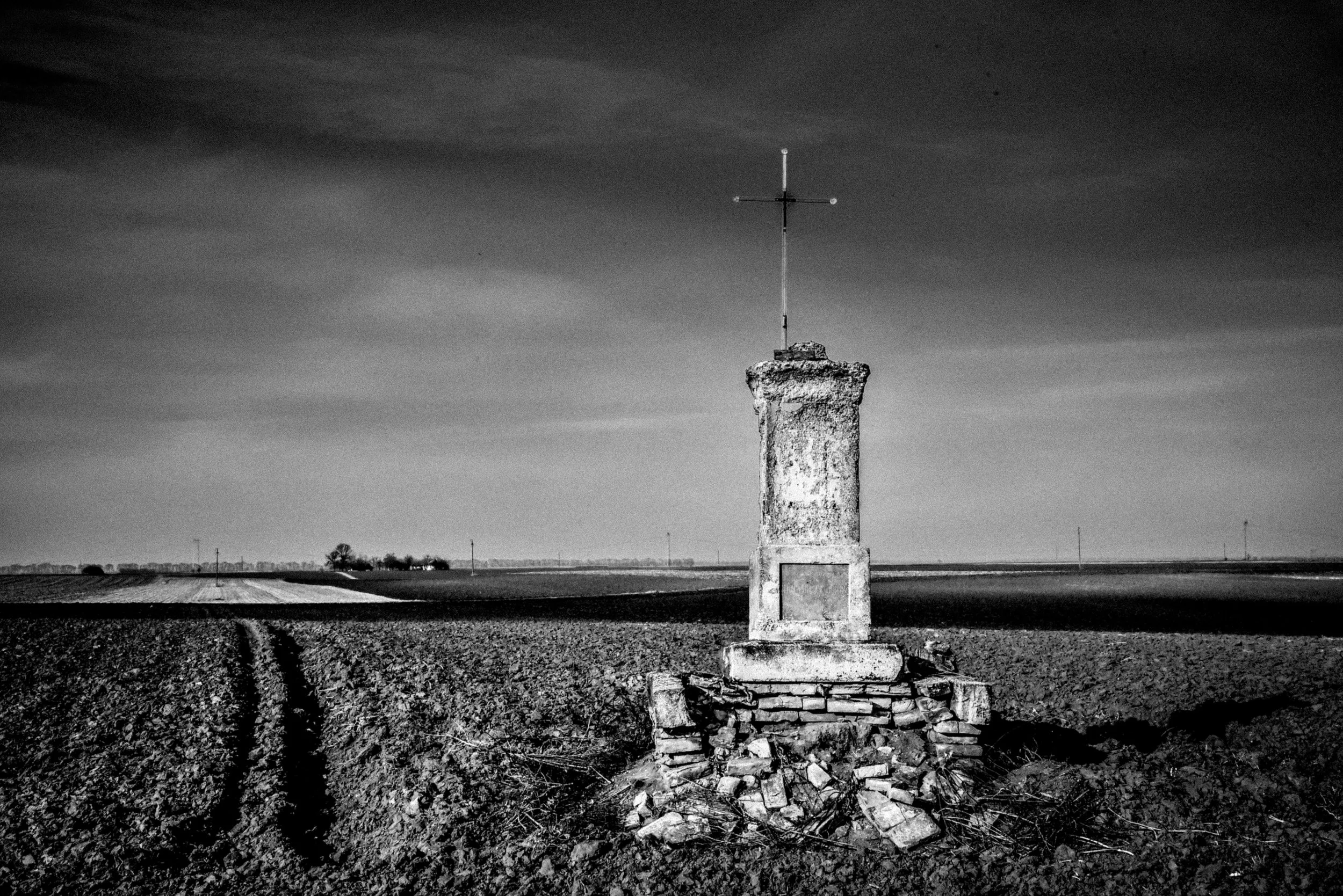 how many people died on this harsh land, refusing to leave this dying country?